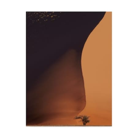 Nina Papiorek 'Namibia The Dune' Canvas Art,35x47
